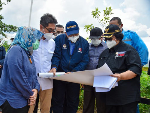 KLHK Mantapkan Persiapan Pembangunan IKN Ramah Lingkungan